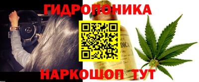 скорость Моздок