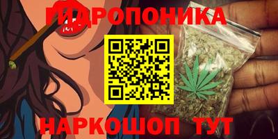 гидропоника Можайск